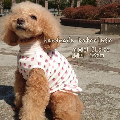 【犬服】 プリンセス ピンク いちご　ボーダー リブ タンクトップ 