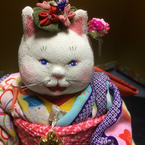 猫ちゃんの看板娘着物姿☆縮緬☆