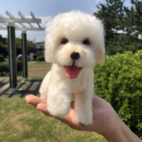 愛犬ちゃんのそっくりなリアルなペット人形をお作りします！　羊毛フェルト　犬　オーダー　ぬいぐるみ　愛犬　ペット　リアル　人形