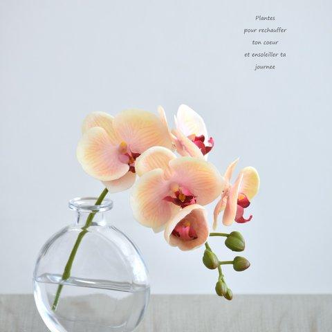 咲き続けるコチョウラン(ピーチ＋クリアガラス)　マジカルウォーター　癒しのフラワーインテリア