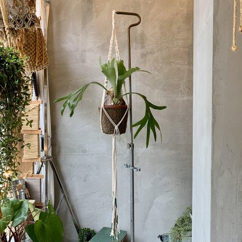 HANGING PLANTER マクラメ編みハンギングプランター