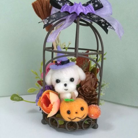 【専用】ハロウィンハウスアレンジ🎃マルチーズちゃん