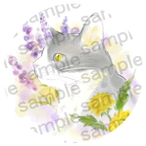 【SNSアイコン用イラスト】5月の花ラベンダーとタンポポに囲まれたハチワレ猫