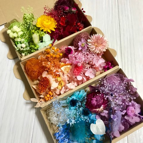 6色3箱ハーバリウム花材ドライフラワー 花材セット