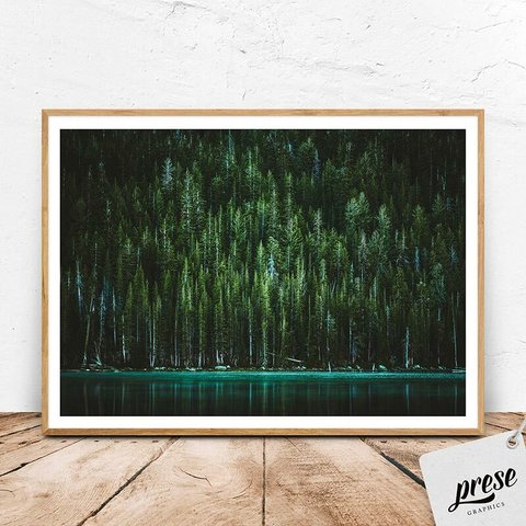 フォレスト、北米のグリーンが美しい針葉樹の森と湖（横版）
