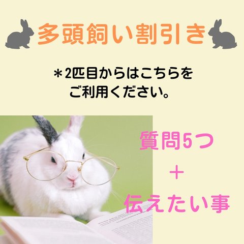 ☆多頭飼い割引☆質問5つ＋伝えたい事