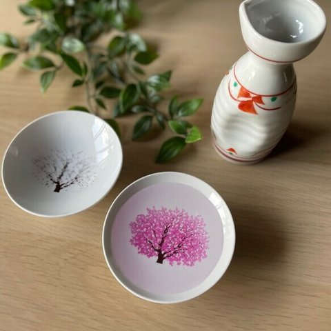 盃　満開-full bloom-　桜-sakura-　冷感