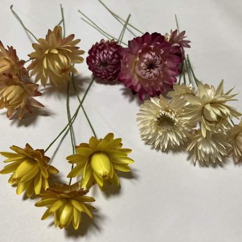 花材セットムギワラキク
