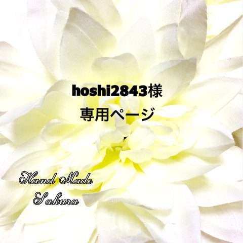 hoshi2843様専用ページ