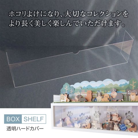 【送料無料】透明ハードカバー〈BOX SHELF〉