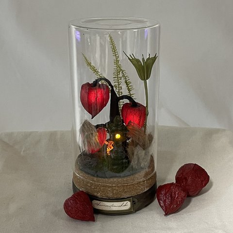アカオニノトモシビ/赤鬼の灯火/植物標本　ドライフラワー　ファンタジー植物