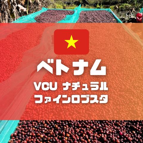 【希少】ベトナム　VCU　ナチュラルファインロブスタ　200g