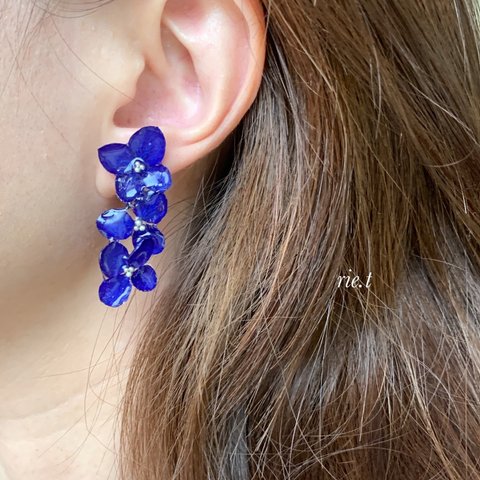 【rie.t】本物のあじさい  イヤリング／ピアス