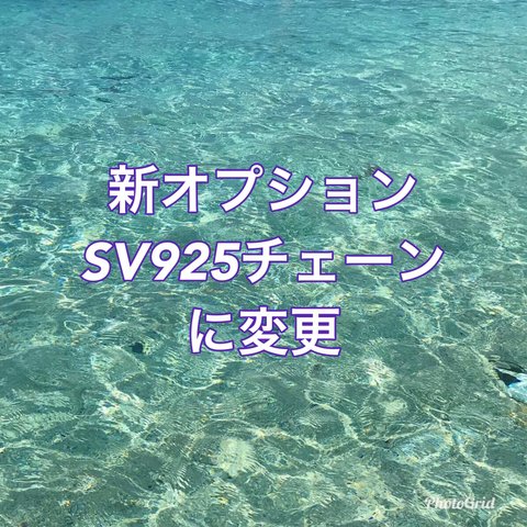 新オプション・SV925チェーン登場！