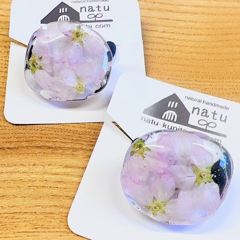 本物の桜「さくら咲く 髪飾り」自家製ドライフラワーをたっぷりとじ込めた贅沢な作品。卒業式や入学式のアクセサリーにも🌸 クリアで美しいヘアゴム 