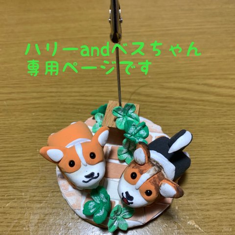 ハリーandベスちゃん専用です