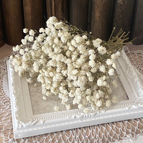 お勧めホワイト❣️アンティークプリザカスミ草ホワイト小分け❣️ハンドメイド花材プリザーブドフラワー