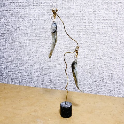 煮干し-earring-pierce-