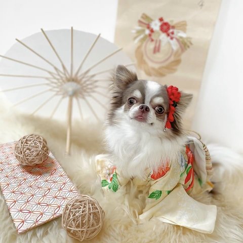 わんこの髪飾り🐩着物 和装＊お正月 ひな祭り 七五三　ヘアアクセサリー