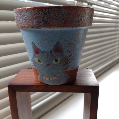 猫植木鉢