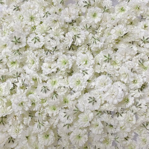 ドライフラワー 花材 かすみ草 ホワイト 大粒