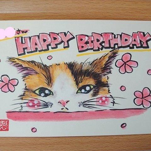 猫　バースデーカード　（HAPPY　BIRTHDAY）