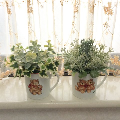 ◇◇癒しのミニ観葉植物◇◇2点セット◇◇     Aセット