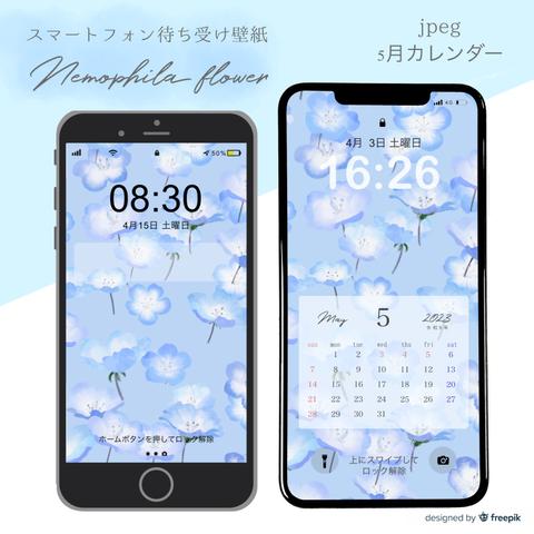 ネモフィラ  スマートフォン待ち受け　デジタルデータ　jpeg