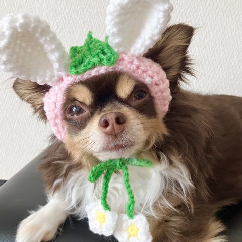 イースター 犬用＆猫用うさみみいちご帽子🍓 耳穴あり 被り物