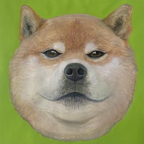 絵画/アクリル絵の具/ぽっちゃり柴犬