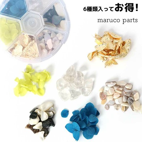 【 ６種類 ケース入り レジン 封入 パーツ ドライフラワー シェル 】【1】 レジン/貝殻/スライス/チップ/ネイル/封入パーツ◎resinparts-a-033-c1