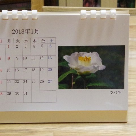 2018年版　卓上カレンダー（季節の花々１）