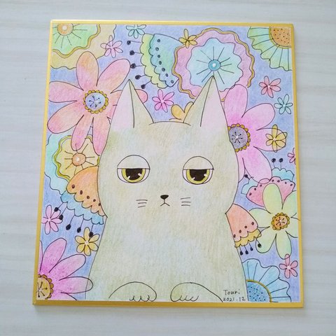 ☆原画・額なし☆ ふんわり＊猫イラスト／色鉛筆&ペン