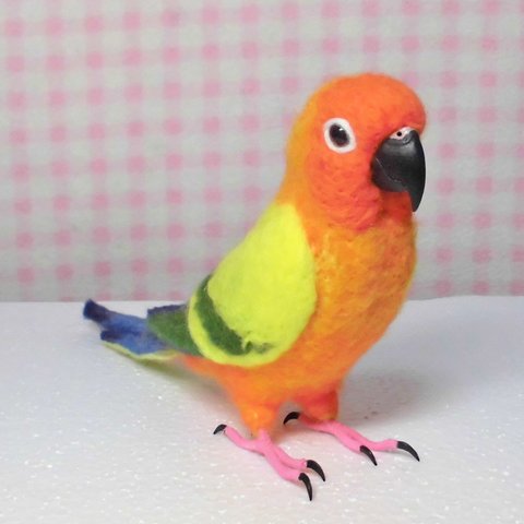 リアルサイズ コガネメキシコインコ Wool figure Real size Sun Conure Stuffed wool  現實大小 太陽錐尾鸚鵡/金太陽 羊毛フェルト 鳥のオブジェ 受注制作