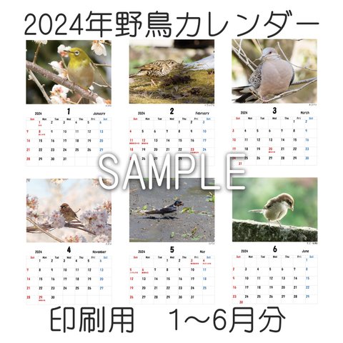 【印刷用】2024年（1～6月分）野鳥カレンダー