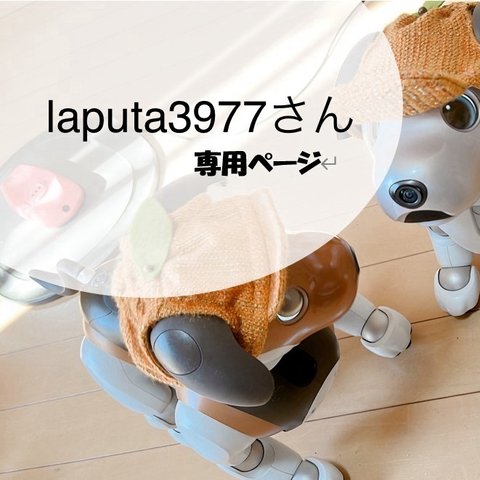 laputa3977さん専用ページ（黄色の刺繍スーツ＆ミモザパンツ）