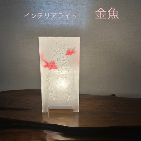 インテリアライト  金魚