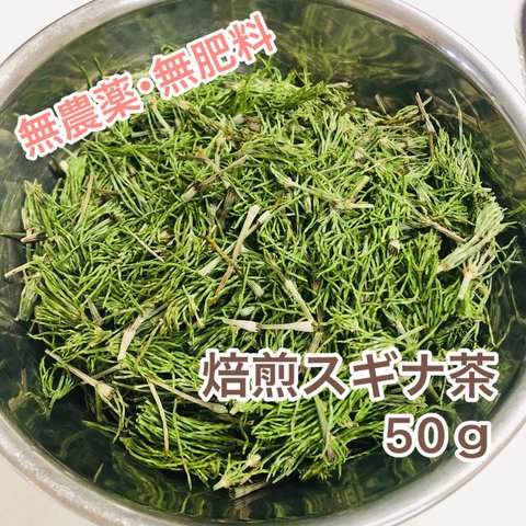 無肥料・無農薬 岐阜県産 スギナ茶 50ｇ