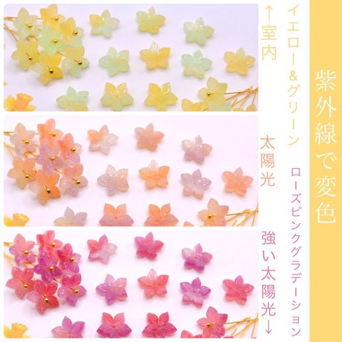 変色素材★スイセン　ろうばい　梅　お花のアセテートパーツ　　イエロー×グリーン→ローズピンク