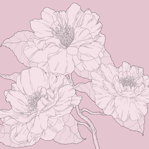 Peony print postcard - #1 牡丹のアートはがき #1