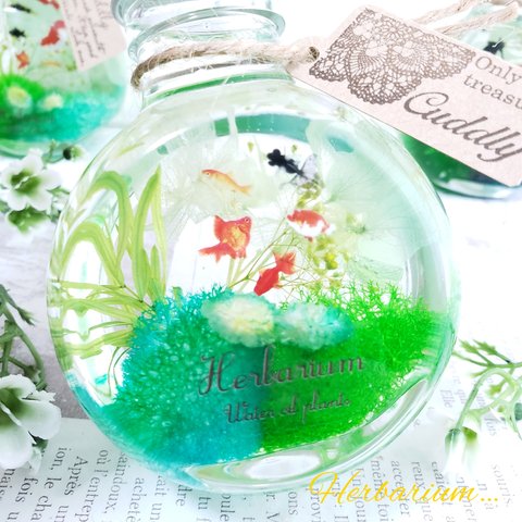 受注制作 ✧‧˚*:.｡.Herbarium｡.:*　ハーバリウム　金魚　ギフト　インテリア