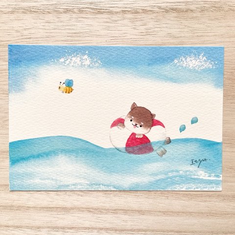 透明水彩画「豆柴ちゃんの海遊び」イラストポストカード2枚セット 絵ハガキ　海　犬　柴犬　暑中見舞い　残暑見舞い　夏　ミツバチ