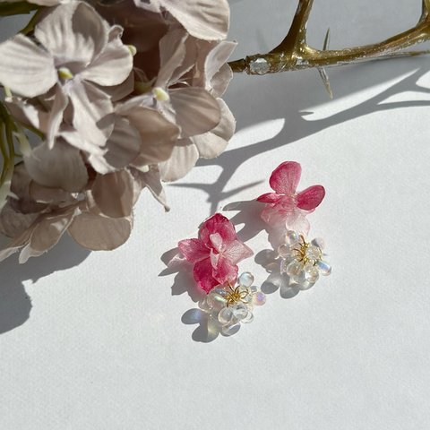  溢れる紫陽花の梅雨ピアス・イヤリング本物の紫陽花