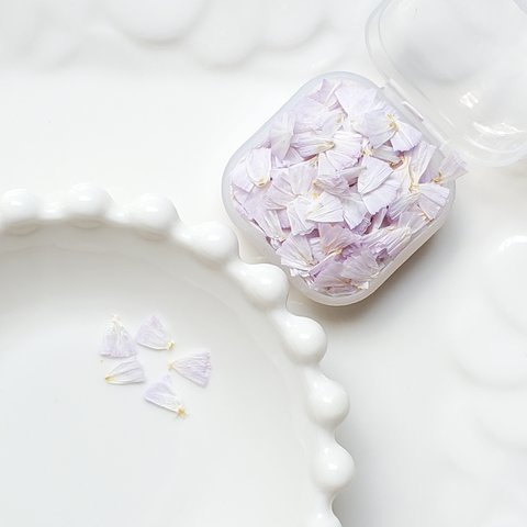 ☆押し花☆　スターチス　極薄い紫　　　花材　素材　小花　レジン　