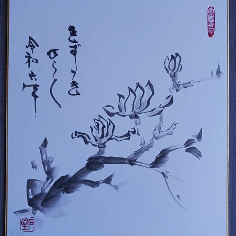 色紙(原画)ー白木蓮