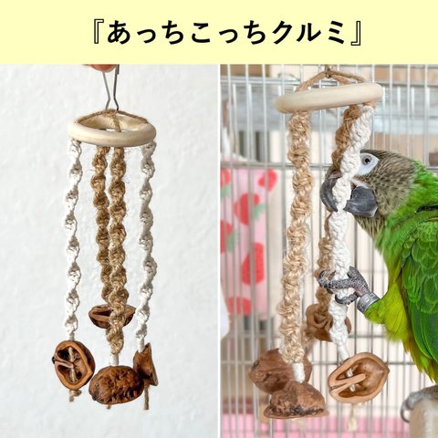 あっち！こっち！揺れるクルミのインコさん用おもちゃ