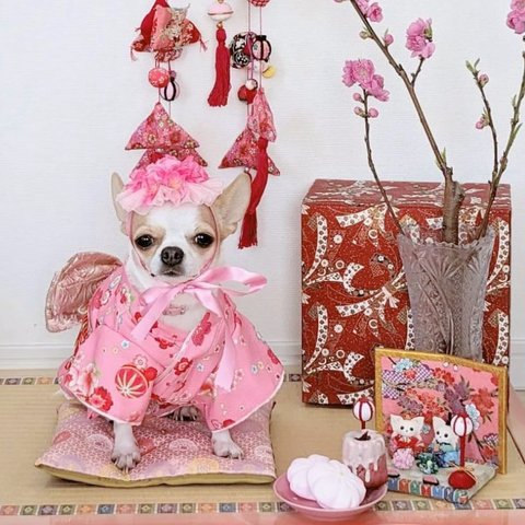 桜の花冠 ちょこんとタイプ 濃いピンク ♡ 桜 ヘッドドレス 花冠 犬 猫 ペット カチューシャ ピンク リボン 花 冠 誕生日 記念日 うちの子記念日 かぶりもの 被り物 帽子 バースデー ひな祭り