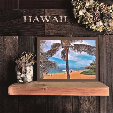 【送料無料】南国の風景☆HAWAII  No.304                               フレーム付    A4サイズ