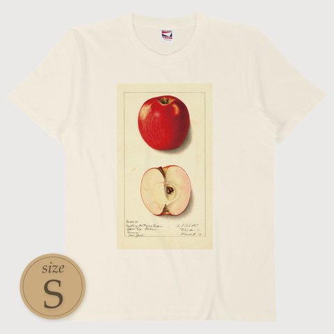 S〔T0157〕林檎／りんご／アップル／Apple【USDA Watercolor Collection】水彩画／手描き／ナチュラル／果物／S M L XL Tシャツ