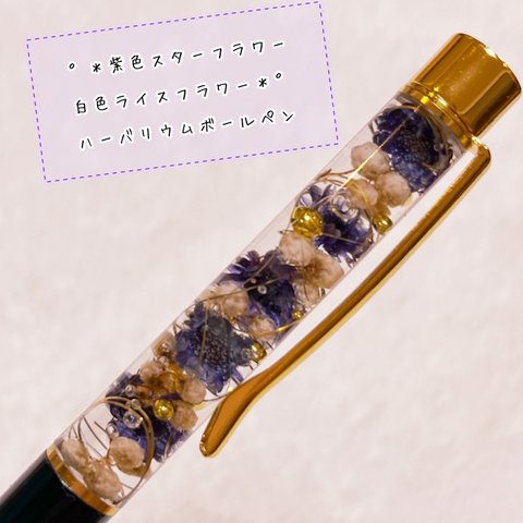 紫色 スターフラワー ぽんぽん白色ライスフラワー＊° ハーバリウムボールペン